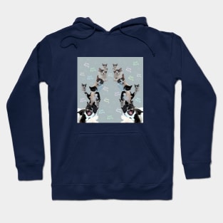 Cats Party!!! Hoodie